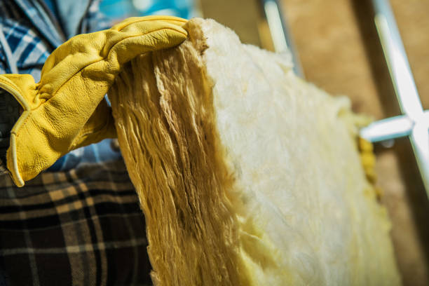Best Eco-Friendly Insulation in Waverly, IA