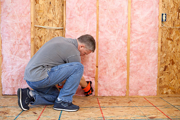 Best DIY Insulation Kits and Guidance in Waverly, IA