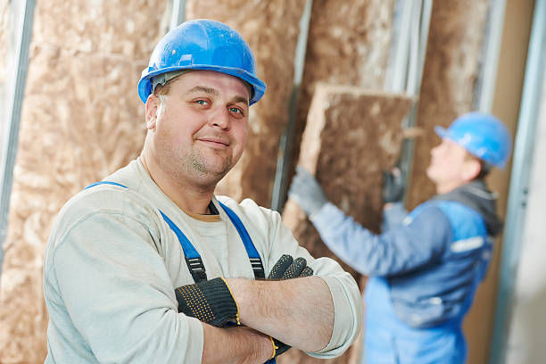 Best Insulation Maintenance and Repair in Waverly, IA
