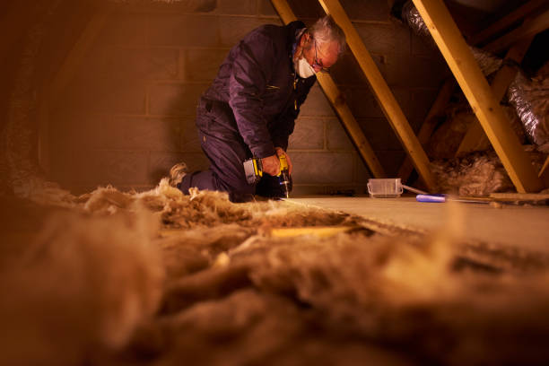 Best Cellulose Insulation in Waverly, IA